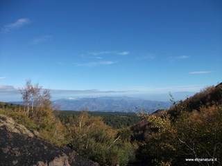 Vallone_monte_Zappinazzo - 04-11-2012 09-57-19.JPG